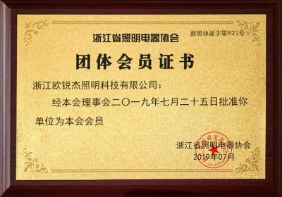 浙江照明电器协会-团体会员证书